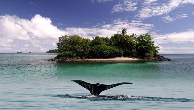 Golfo de Chiriqui